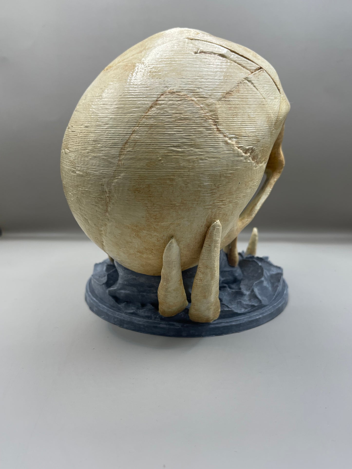 Skull