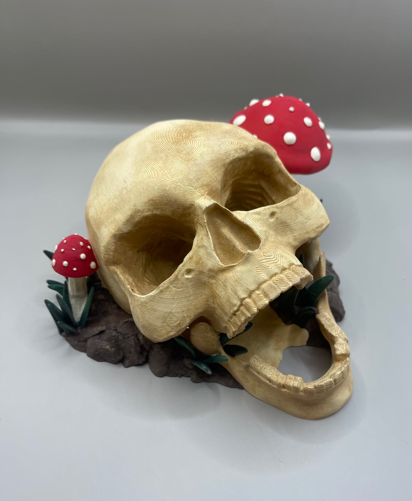 Decomposed Skull Dice Roller