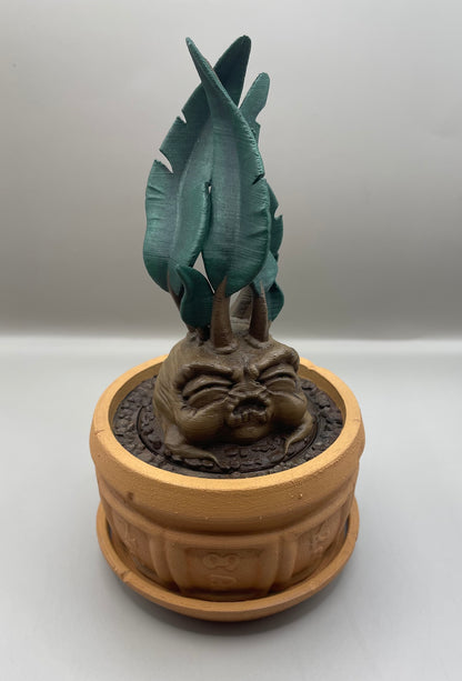 Wailing Plant