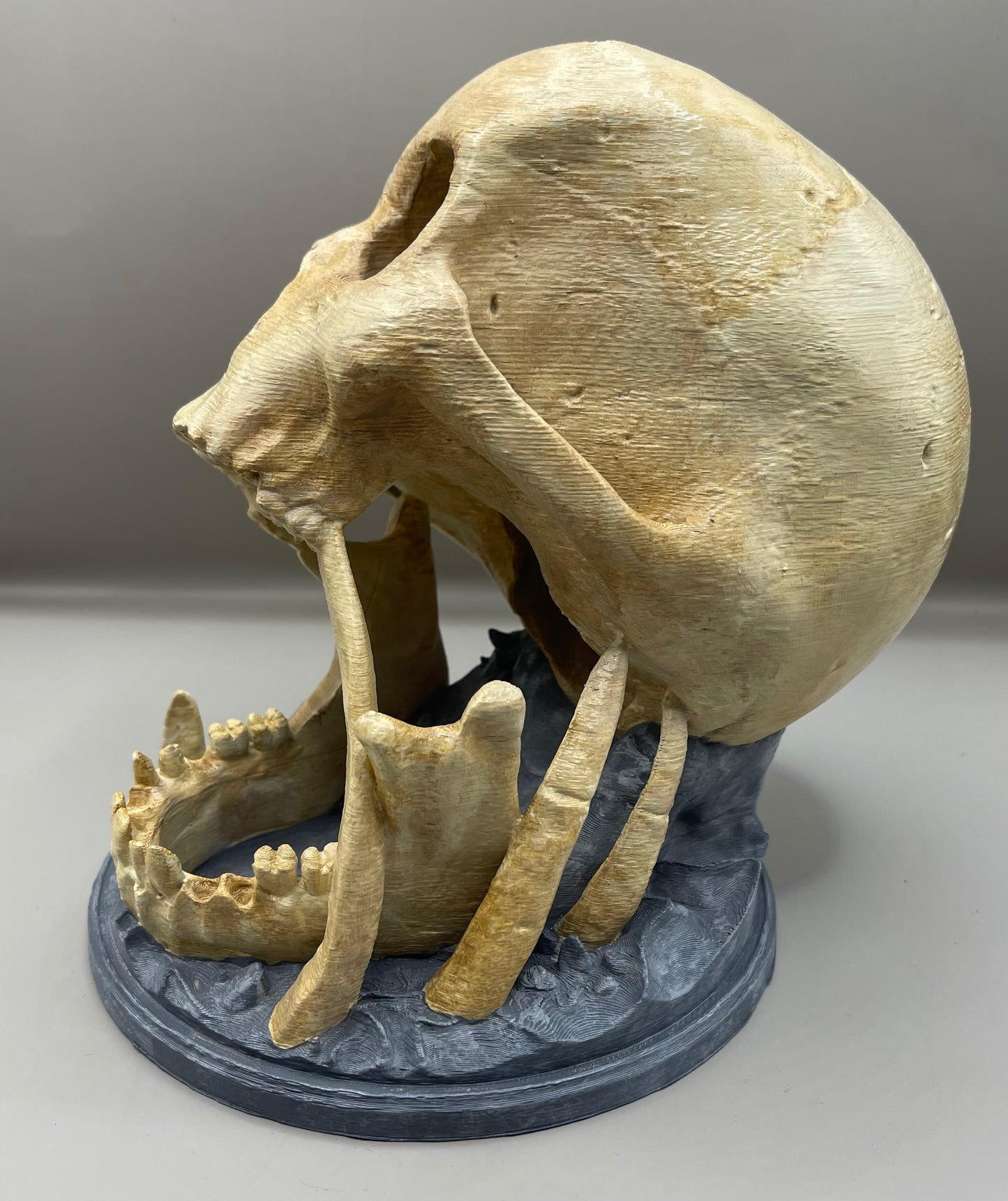 Skull