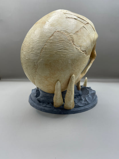 Skull