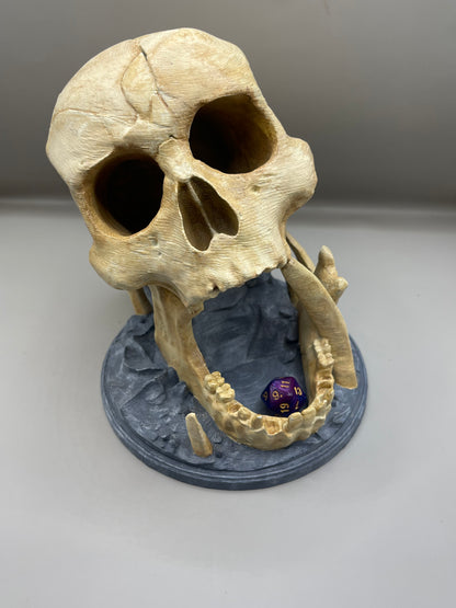 Skull
